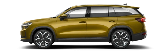 Новый Kodiaq